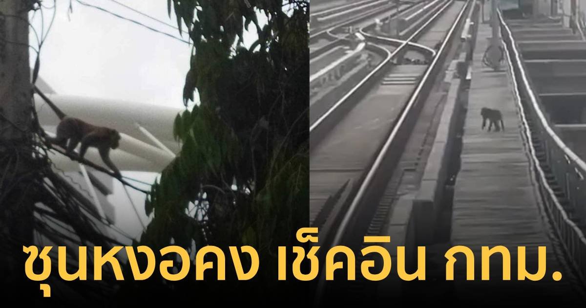 "ซุนหงอคง" เช็คอิน กทม. ผจญภัยไต่สายไฟ-วิ่งในราง ชาวเน็ตงงมาจากไหน?