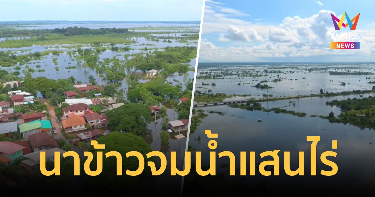 นครพนมยังอ่วม นาข้าว จมน้ำกว่าแสนไร่ กระทบเกษตรกรกว่า 17,368 ราย